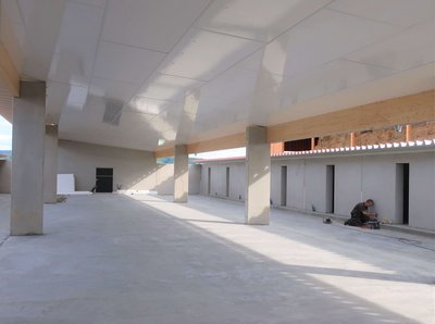 Umstellung auf Bio-Zuchtsauenhaltung