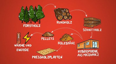 News zum Modulrückbau